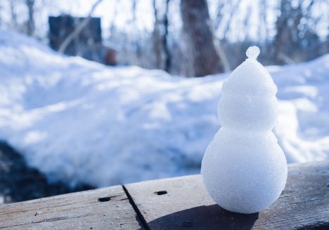 ウィンタースクール